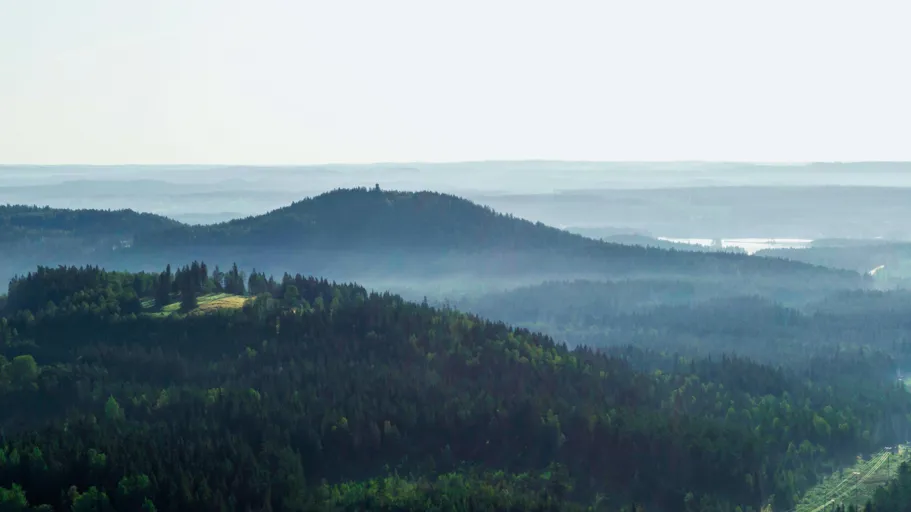 Skog och horisont