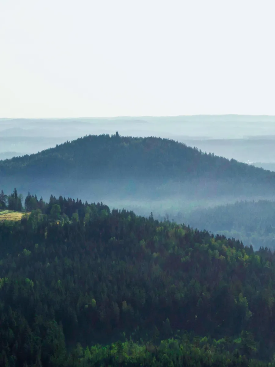 Skog och gerb